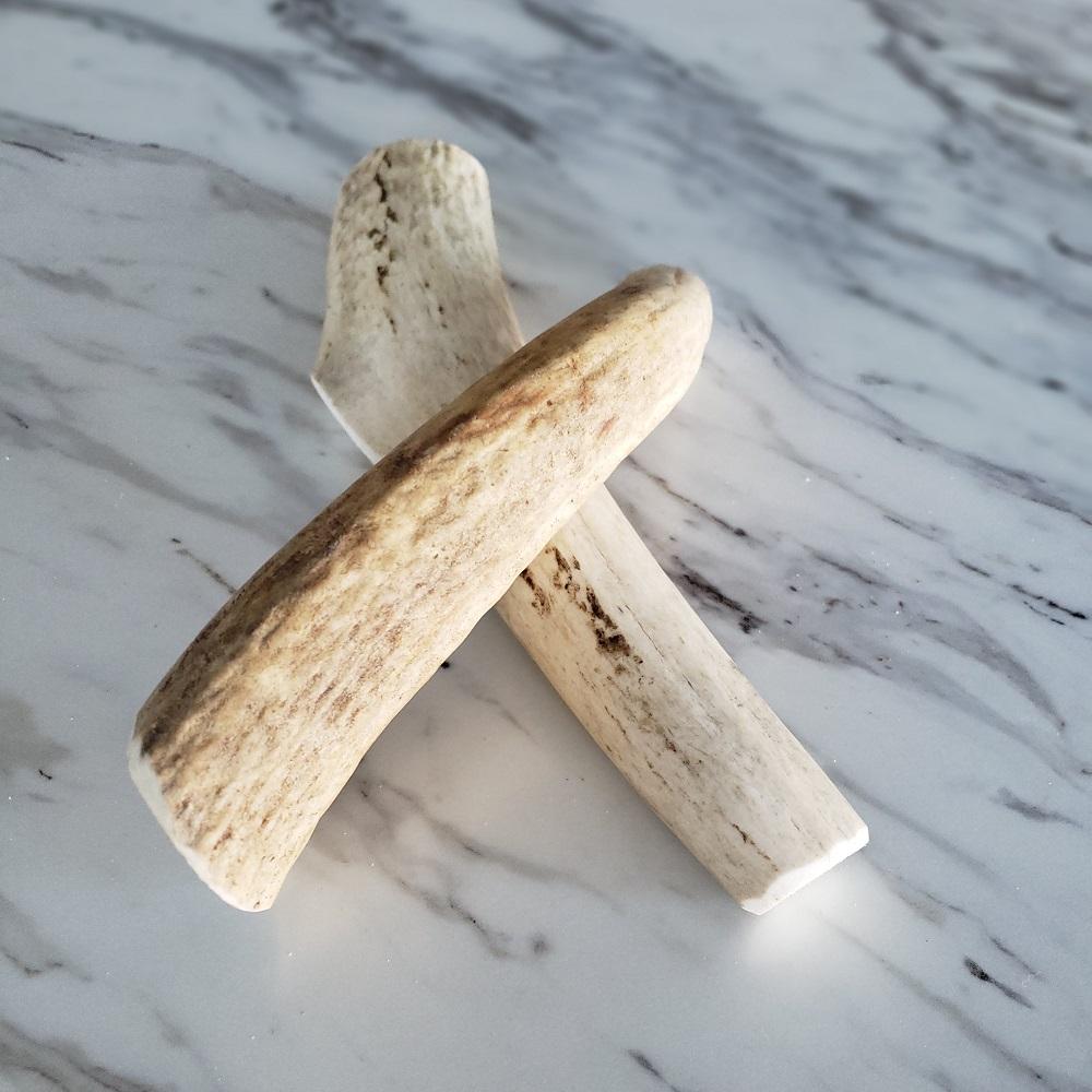 Large Whole Elk Antler Dog Chew