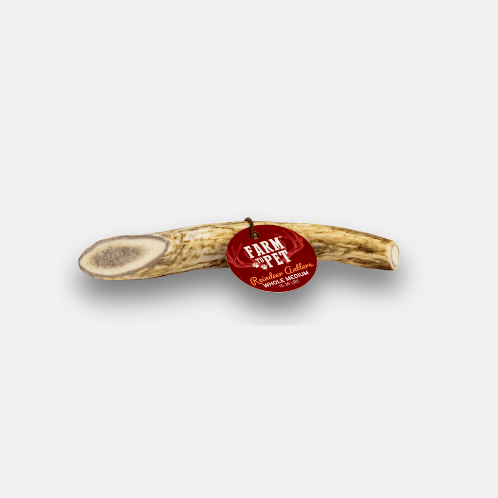 Reindeer Antler Dog Chews | Organic Chews for Dogs