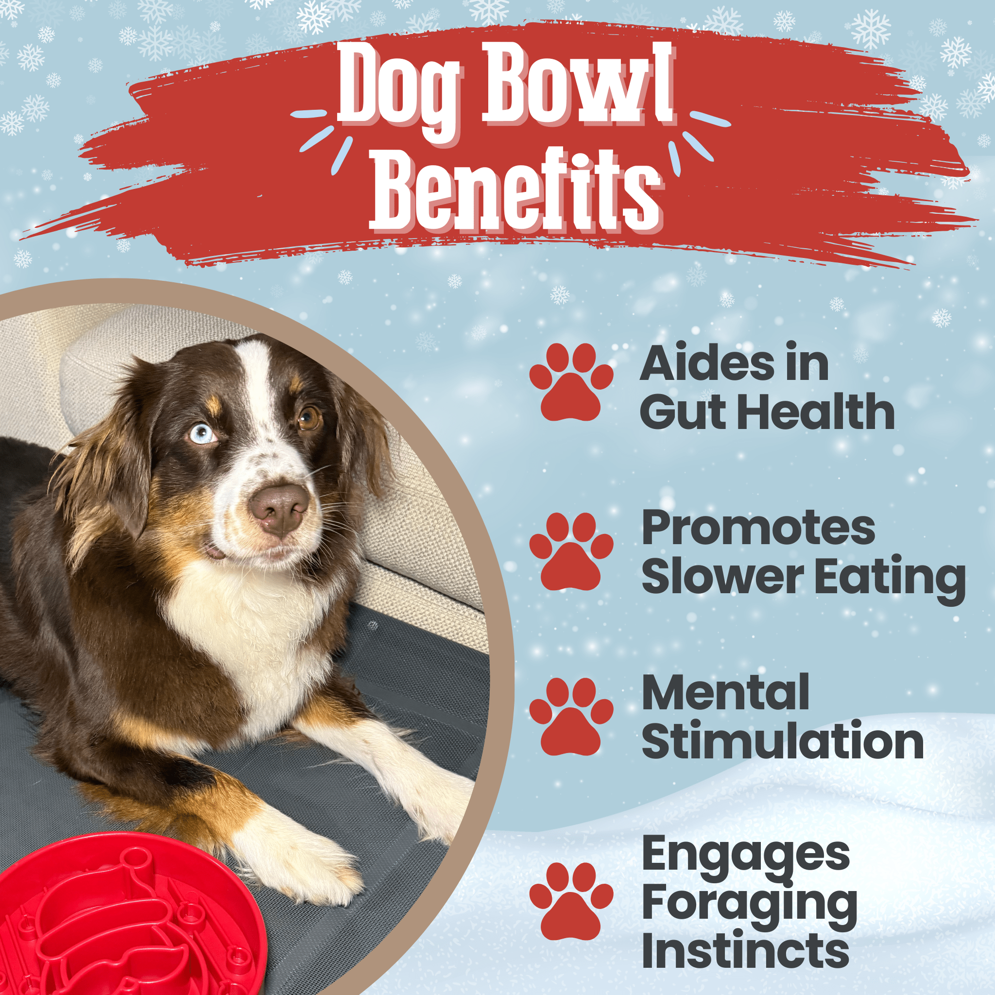 Slow Feeder Dog Bowls
